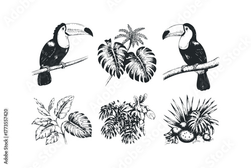 Two toucans on branches with tropical leaves and fruits