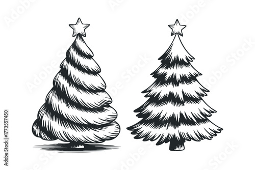 Two hand-drawn Christmas trees with stars