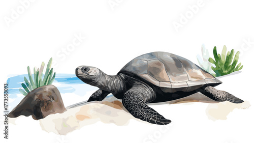 Galapagos Islands. Galapagos Islands hand drawn watercolor illustration