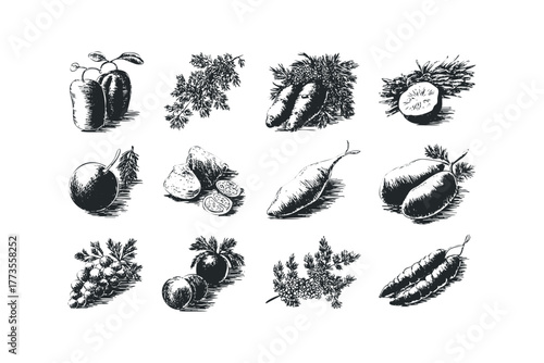 Collection of sketched fruits and vegetables with leaves