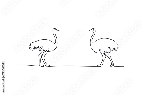 Two Ostriches Drawn with Continuous Line