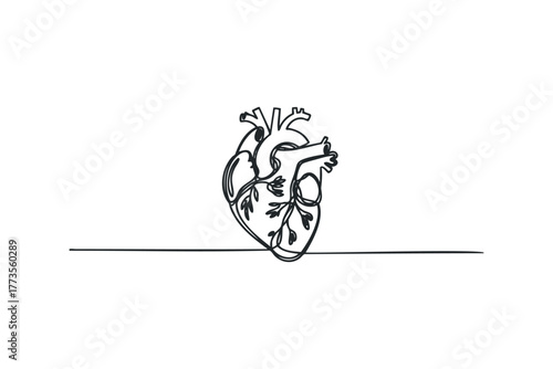 Single line drawing of a human heart with veins and arteries