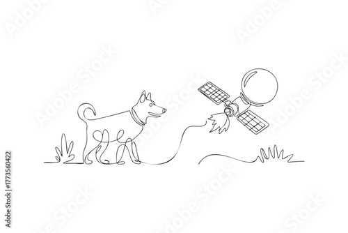Dog on a leash interacting with a satellite