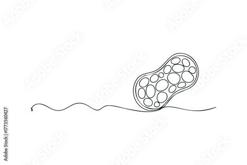 Minimalist line drawing of a sponge and wavy line
