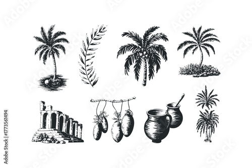 Collection of Tropical Palm Trees and Ancient Ruins
