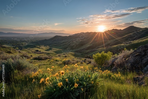 Wallpaper Mural Boise Foothills Sunset: Spring Wildflowers in Idaho Landscape Torontodigital.ca