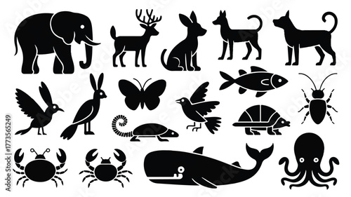 A collection of black silhouette illustrations of various animals arranged on a white background.  
