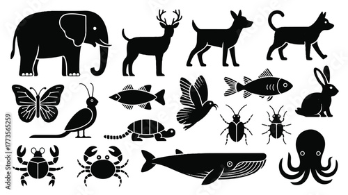 A collection of black silhouette illustrations of various animals arranged on a white background.  
