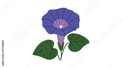 A simple vector illustration of a deep purple morning glory flower with 6 large petals arranged in a circular pattern 
