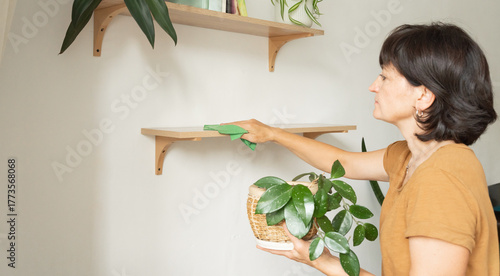 Fotografie Woman cleaning wooden shelf removing houseplant for dusting