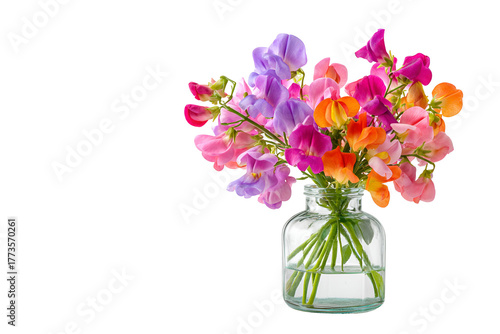 Wallpaper Mural Vibrant bouquet of colorful sweet pea flowers in a clear glass vase against a black background Torontodigital.ca