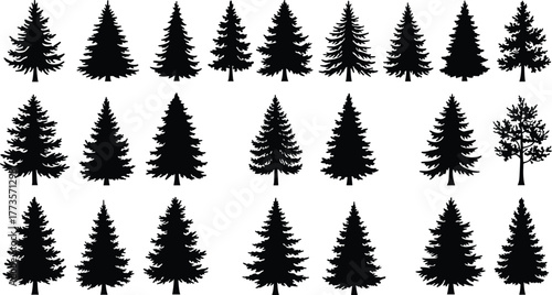 Tree silhouette collection, pine forest vector, evergreen woodland artwork, rustic nature design, winter landscape illustration, decorative graphic set, black tree icons