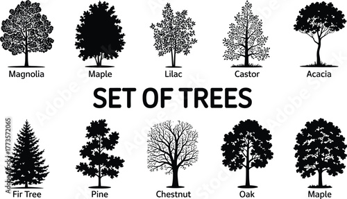 Vector trees set black and white outline tree types illustration