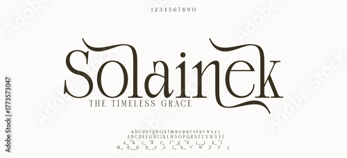 Beauty elegant font alphabet logo. Typography beautiful fashion luxury classic letters serif italic fonts decorative wedding vintage logos. vector illustration