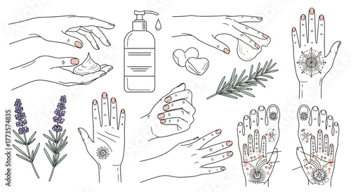 Set of hand care line art illustrations including lotion lavender and palmistry vector drawing for beauty and wellness design