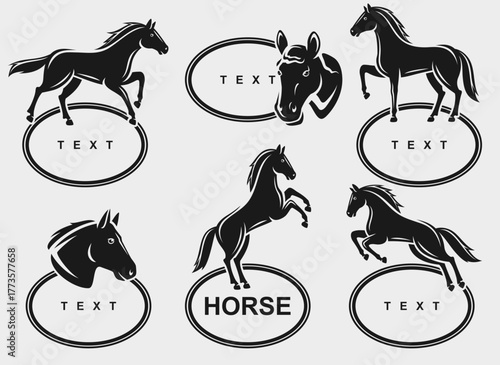 Horse labels and icon set. Collection icons horse. Vector