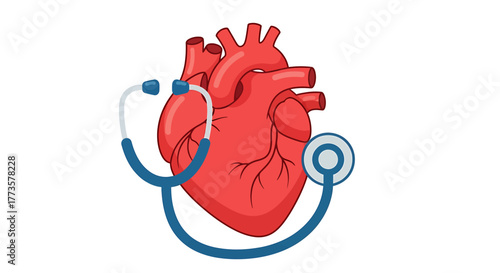 Illustration of a heart with a stethoscope wrapped around it, symbolizing cardiac health and medical care.
