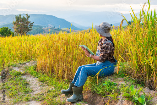 Woman farmer with a tablet in a golden rice field. Smart farming and modern agriculture technology with a mountain landscape background.