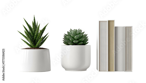 Two potted succulents and three books arranged on a surface