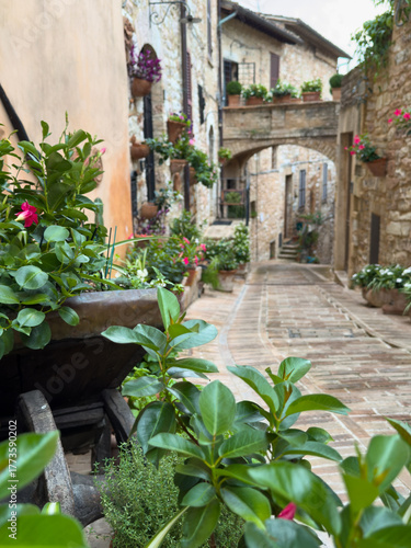 beautiful view of an alley in Spello, a famous medieval village in Umbria renowned for its flower-lined streets