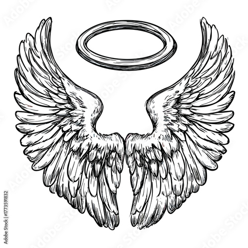 Detailed hand drawn angel wings with halo illustration, black and white sketch style feathered wings, spiritual religious symbol drawing vector design