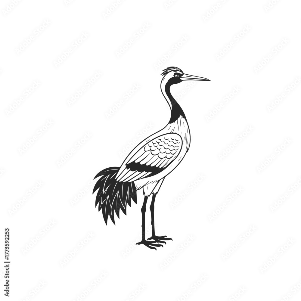 Fototapeta premium Graceful black and white crane bird illustration standing featuring a distinctive crest long neck and stylized feather patterns.