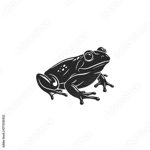 Stylized black frog vector illustration with white highlights detailed amphibian in sitting pose.