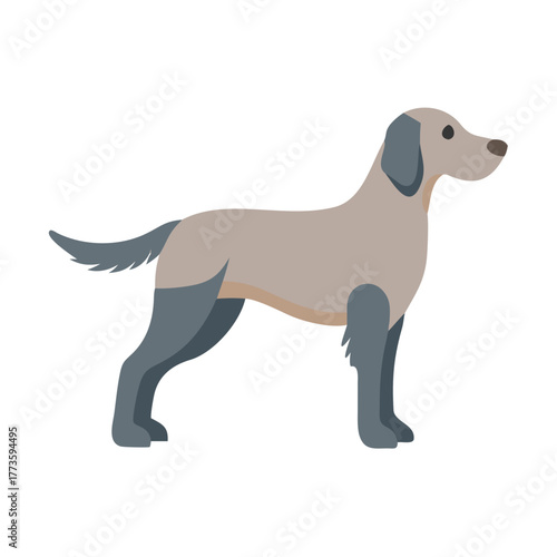 Setter Dog Flat Icon Isolated On White Background.vector icon
