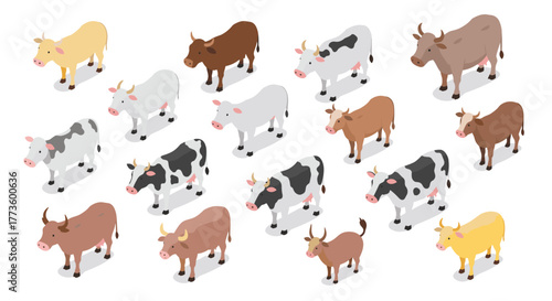 Isometric farm animals: diverse cow breeds in various colors on a white background