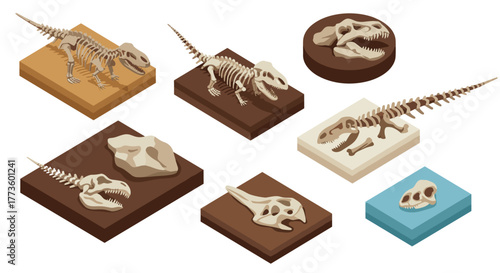 Isometric fossil and dinosaur skeleton models on gradient blocks