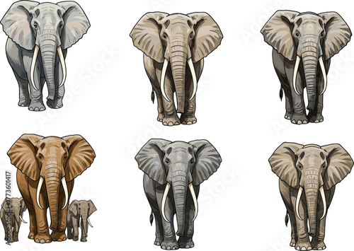 Elephant family front view illustration, African and Asian elephants collection, wildlife art, safari animals, conservation concept, nature background