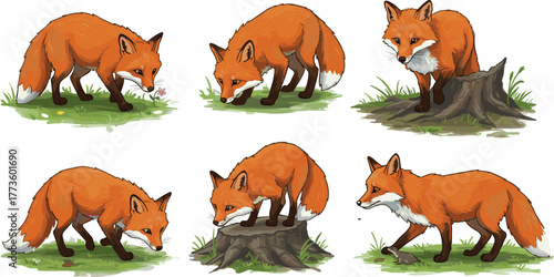 Cute red fox cartoon illustration set, wild animal character collection in forest nature background, woodland wildlife, adorable fox poses