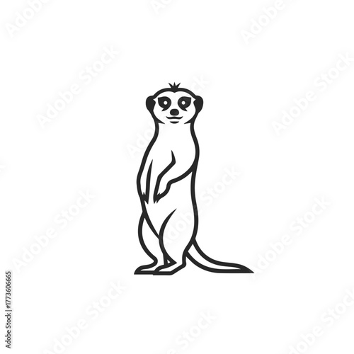 Standing Meerkat Line Art Illustration.