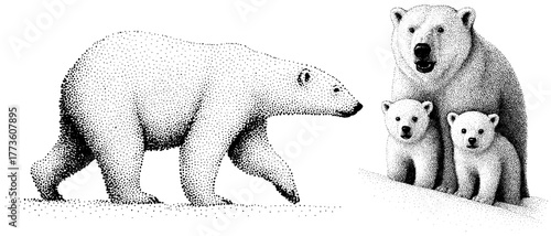 Black and white engraving of polar bear family with cubs, vintage stipple etching isolated on transparent background.