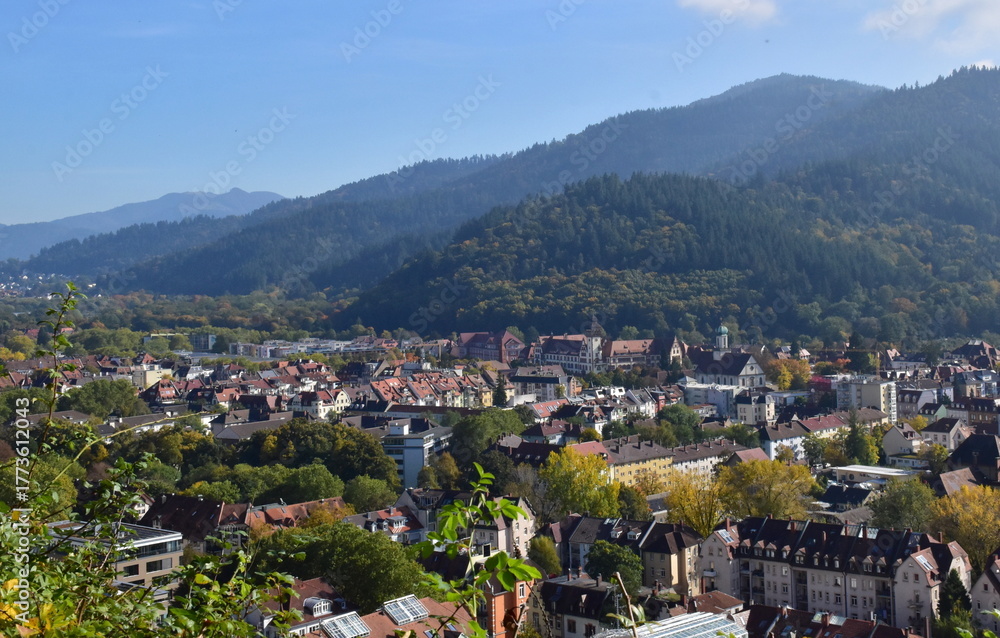 Obraz premium Stadtteil Wiehre von Freiburg im Herbst