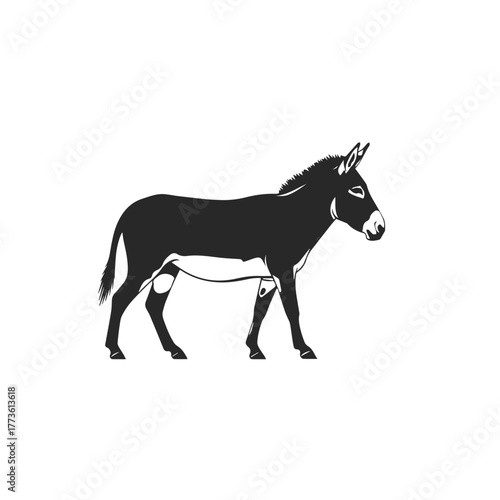 Silhouette of a Donkey Standing Still.