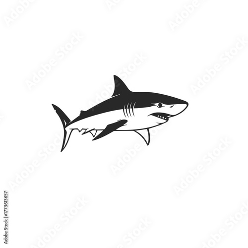 Silhouette of a Great White Shark.