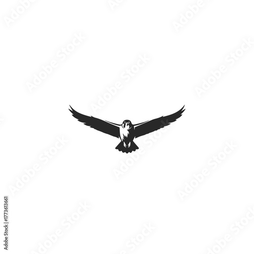 Silhouette of a Majestic Falcon in Flight.