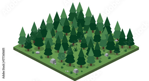 Isometric forest with pine trees and stones in a geometric landscape design