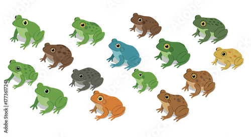 Colorful flat frogs collection with diverse species and patterns on white background