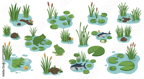 Playful frogs and tranquil pond elements in isometric style for nature designs