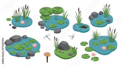 Serene pond elements with lily pads and dragonflies in isometric style