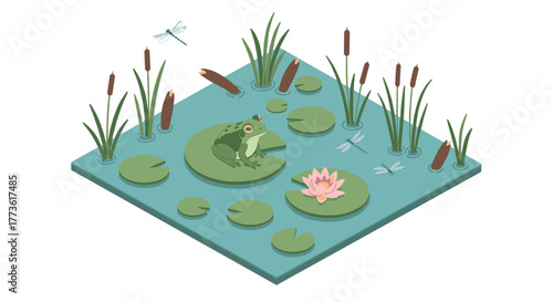Isometric frog and dragonfly scene with lily pads and cattails in a pond