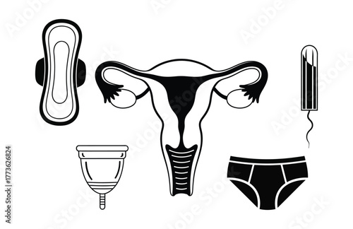 Illustration of feminine hygiene products and female reproductive system