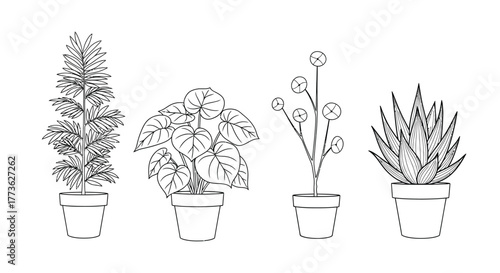 Collection of four distinct potted houseplants in a simple, clean line art style