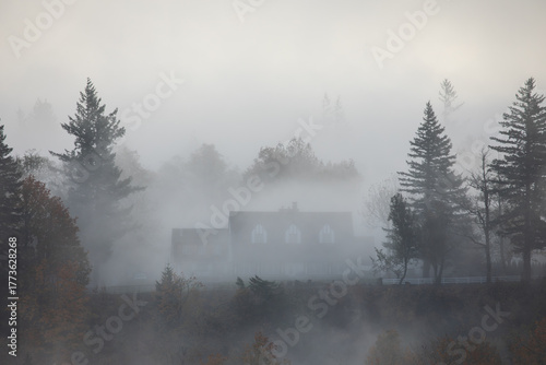 Mysterious house surrounded by fog and autumn forest on a calm fall morning. Moody misty landscape with colorful trees creating an atmospheric and dreamy feel perfect for nature and creative visuals