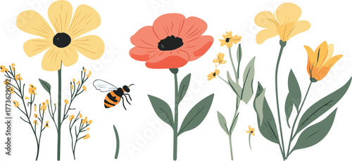 A colorful vector illustration of poppy flowers and leaves with a spring floral design pattern