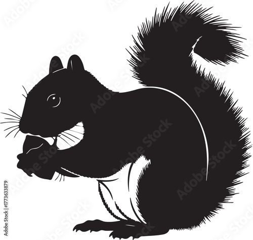 Squirrel Eating Nut Silhouette Vector