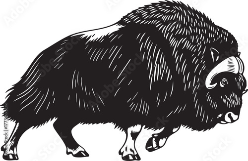 Powerful Muskox Running Silhouette Vector