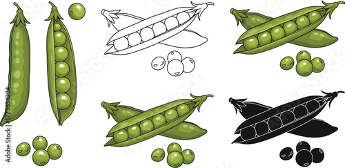 Various illustrations of green peas in pods and loose on white background